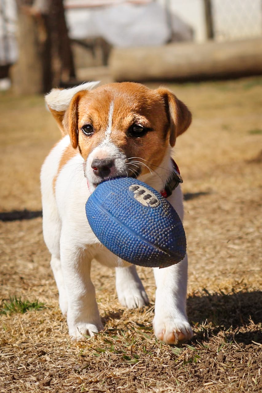 JRT